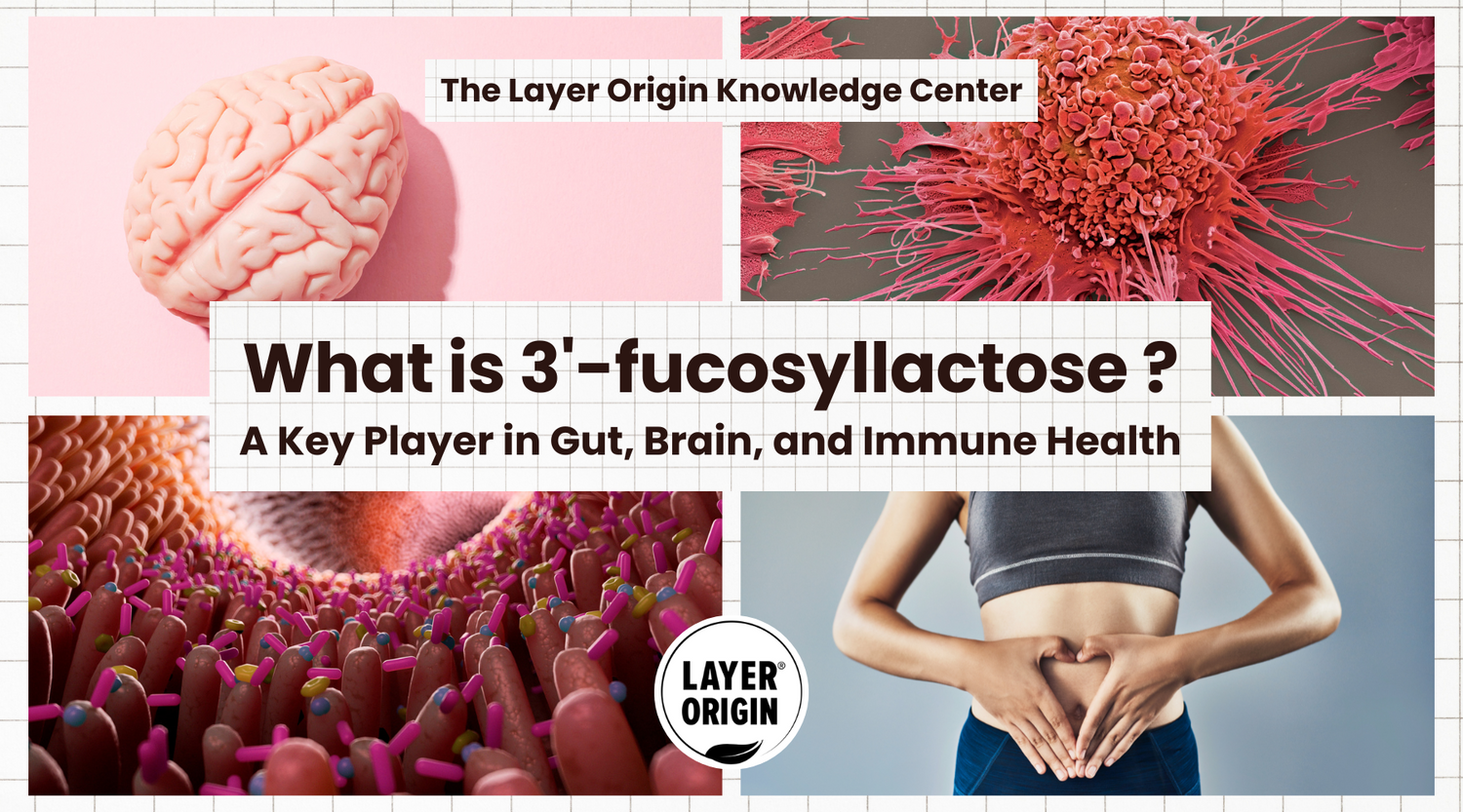 What is 3'-fucosyllactose (3’-FL)?