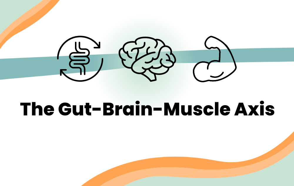 Gut Brain Muscle Axis