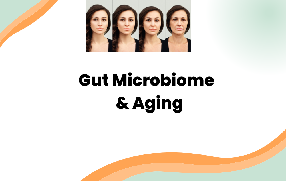 Gut Microbiome and Aging