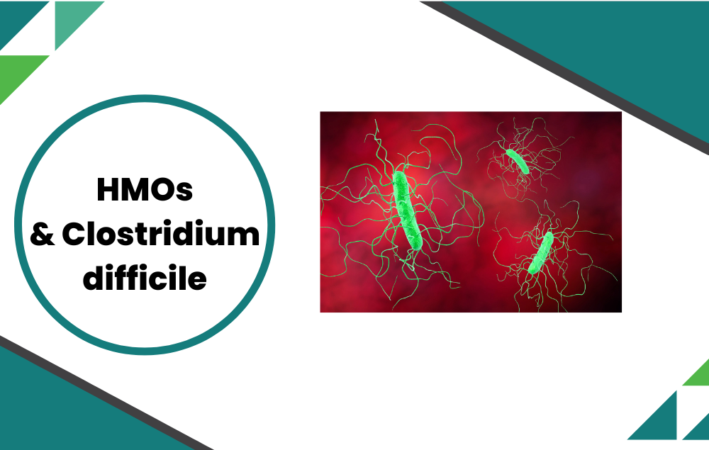 HMO fight with Clostridioides difficile