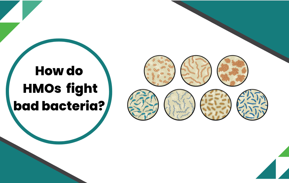 How human milk oligosaccharide fight bad bacteria | pathogens, candida, streptococcus.