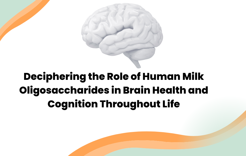 Deciphering the Role of Human Milk Oligosaccharides in Brain Health and Cognition Throughout Life