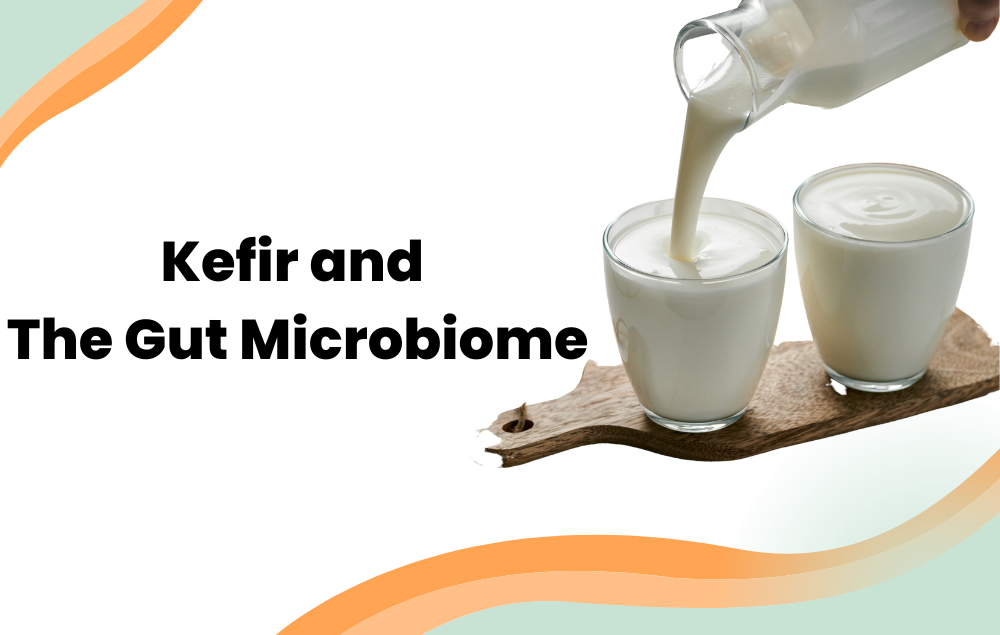Kefir and The Gut Microbiome