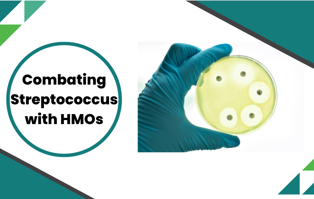 Combating Streptococcus Infection with HMOs?