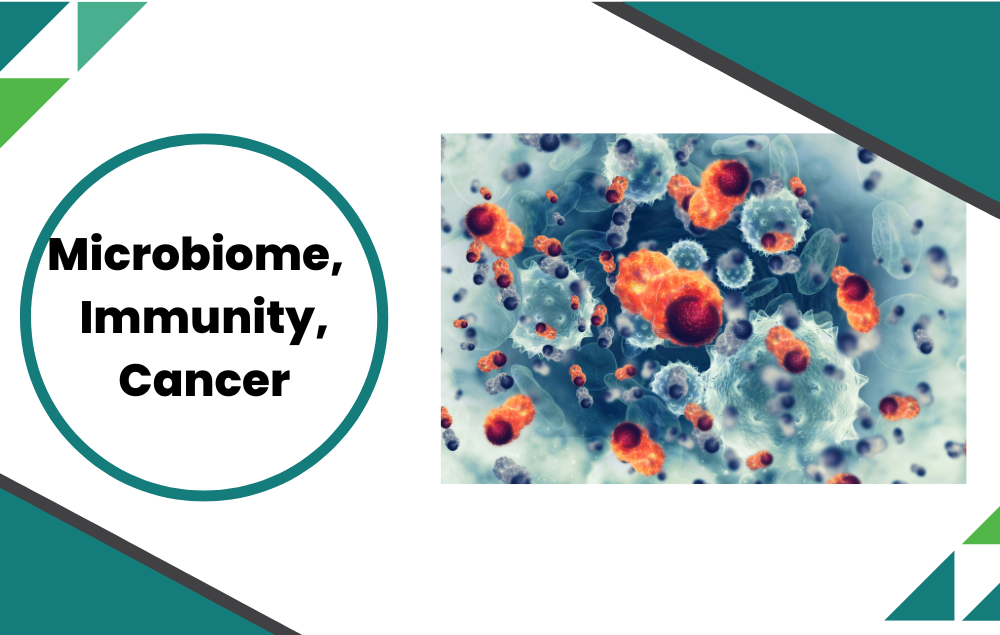 The Microbiome-Immune Axis and Its Relationship to Cancer