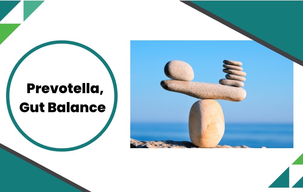 What is Prevotella copri and What Does This Good Microbe Mean for You? - Layer Origin Nutrition