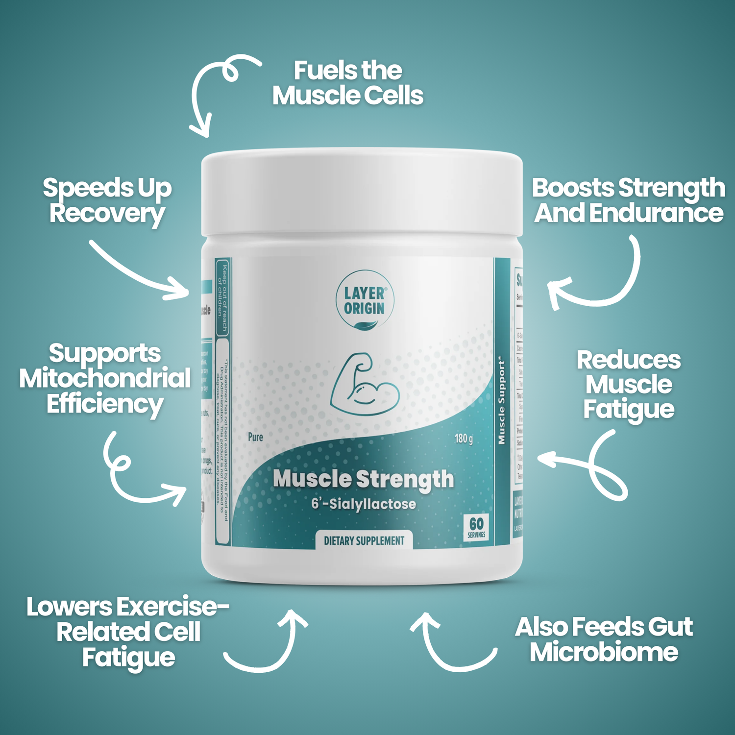 Muscle Strength and Health with 6&