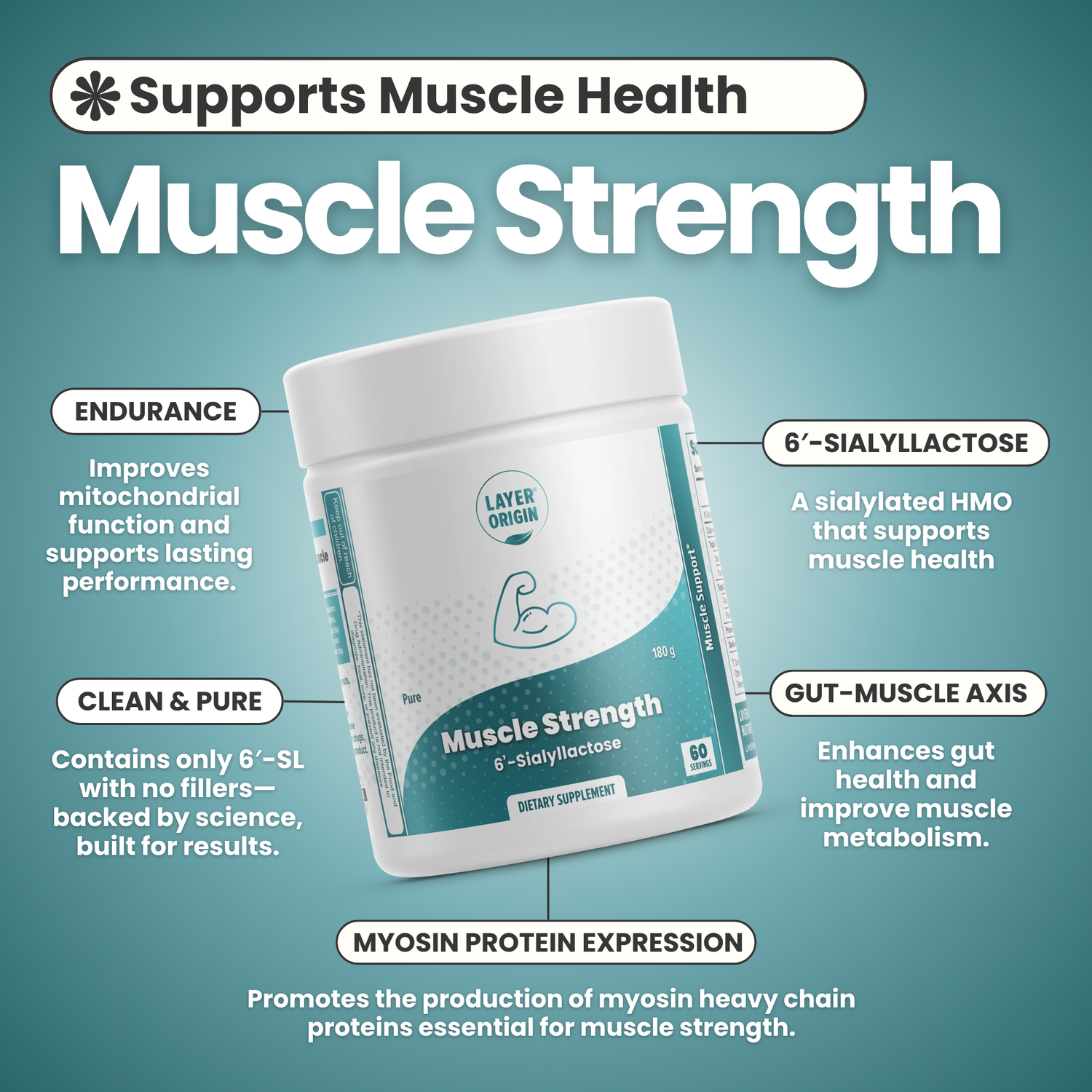 Muscle Strength and Health with 6&