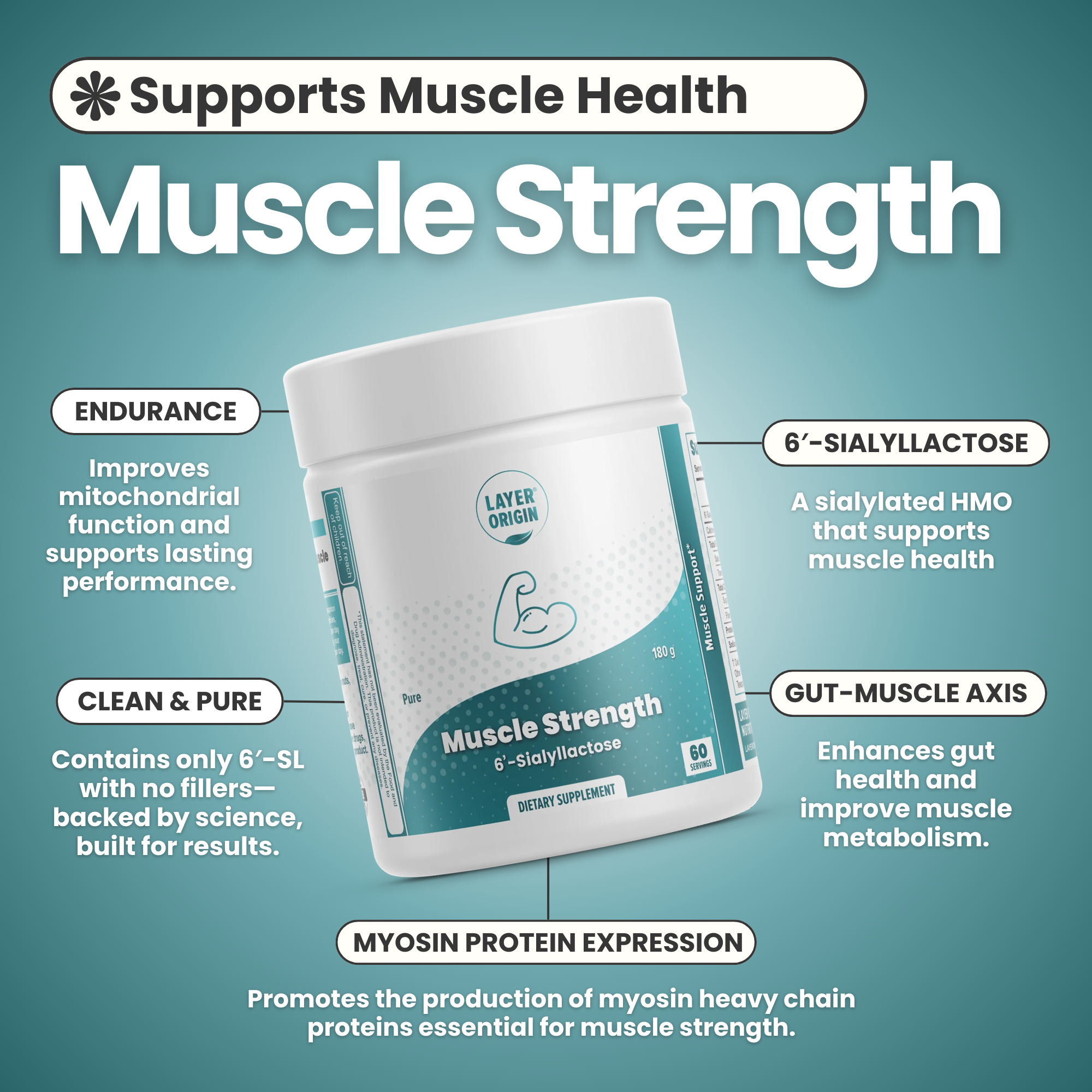 Muscle Strength and Health with 6&
