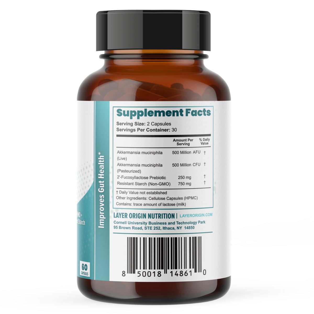 Supplemental Facts, Akkermansia Probiotics with Pasteurized and Live Bacteria and 2FL HMO Prebiotics and Resistant Starch Main