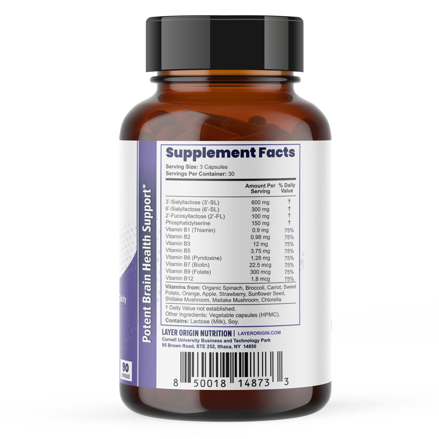 Brain Performance boost Memory Focus, Cognitive Supplement with 3SL 6SL, phosphatidylserine and folate, b12, vitamins - Supplement Facts Side