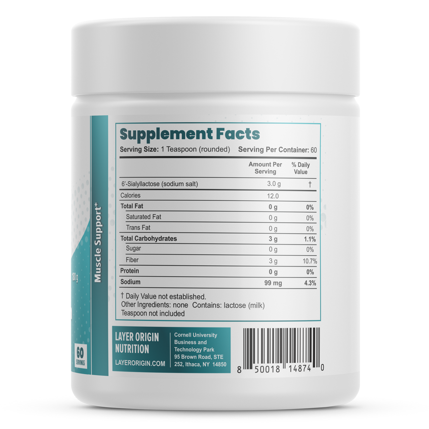 Muscle Strength and Health with 6&