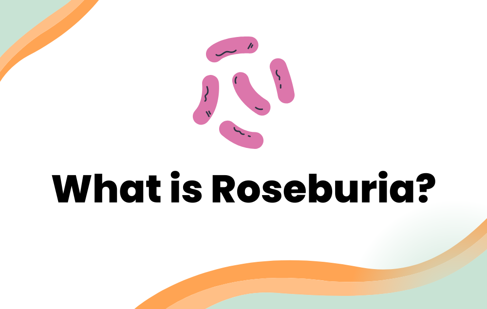 What is Roseburia?