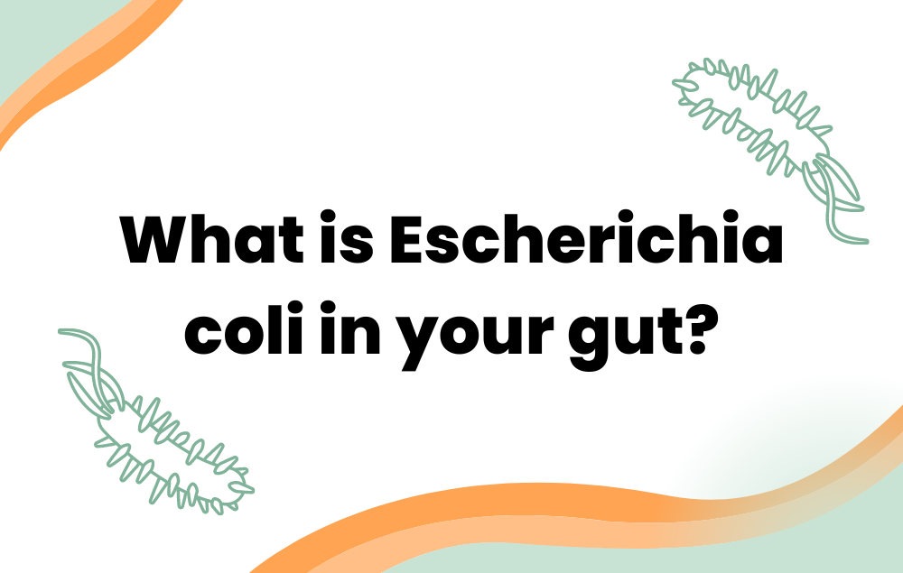 What is Escherichia coli in your gut?