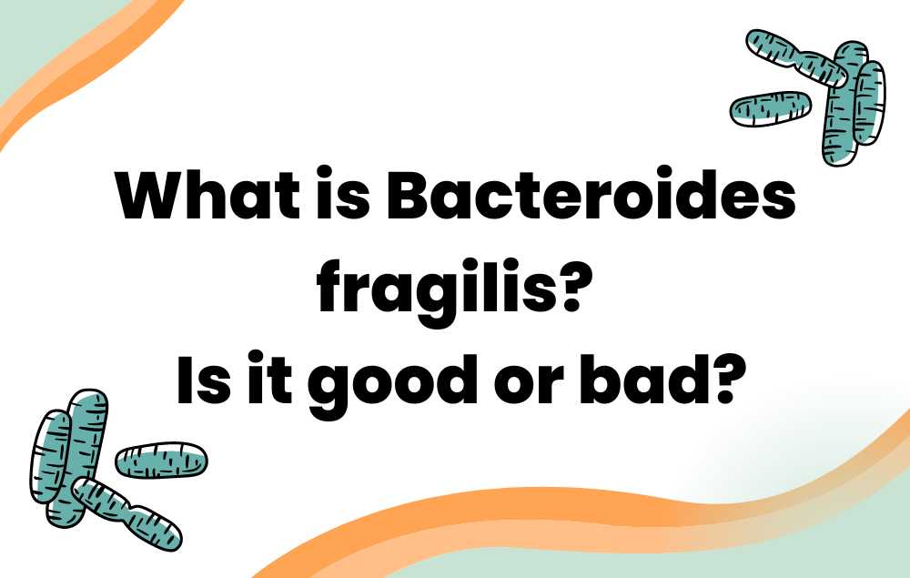 What is Bacteroides fragilis & Is it good or bad?