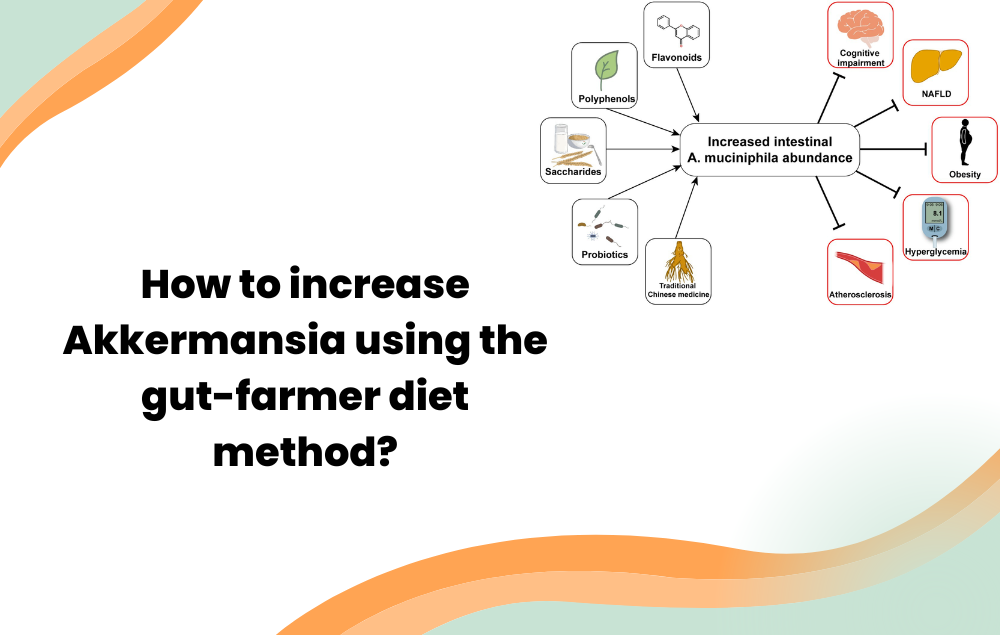 How to increase Akkermansia using the gut-farmer diet method?