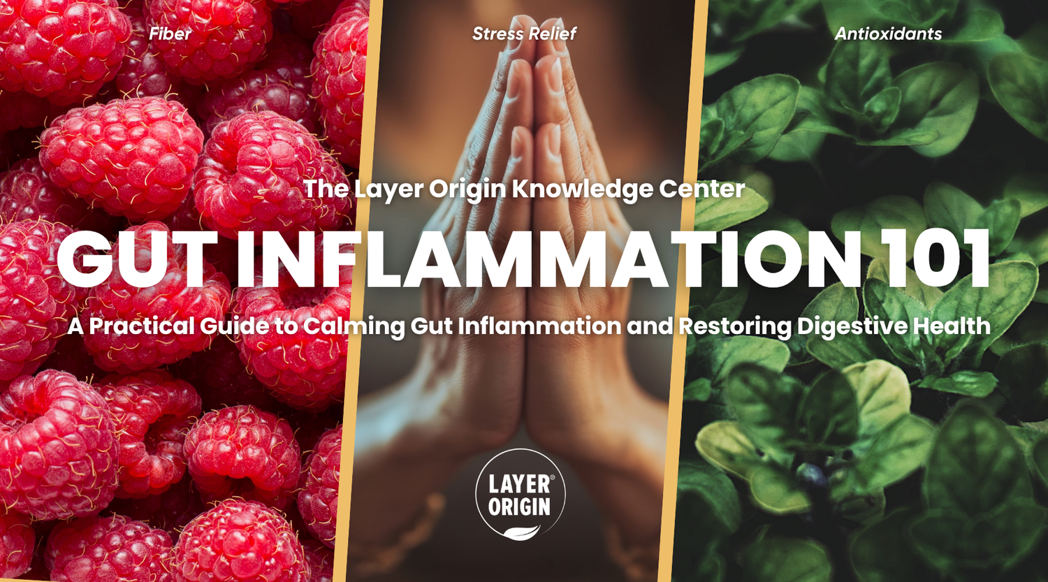 Gut Inflammation 101: What It Is and How to Reduce It