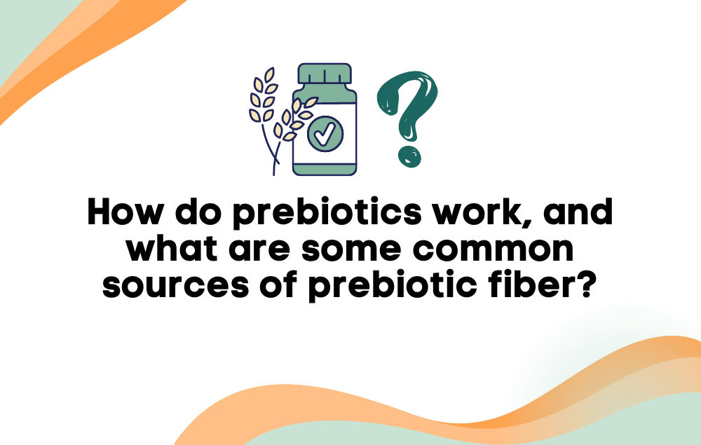 How do prebiotics work, and what are some common sources of prebiotic fiber?