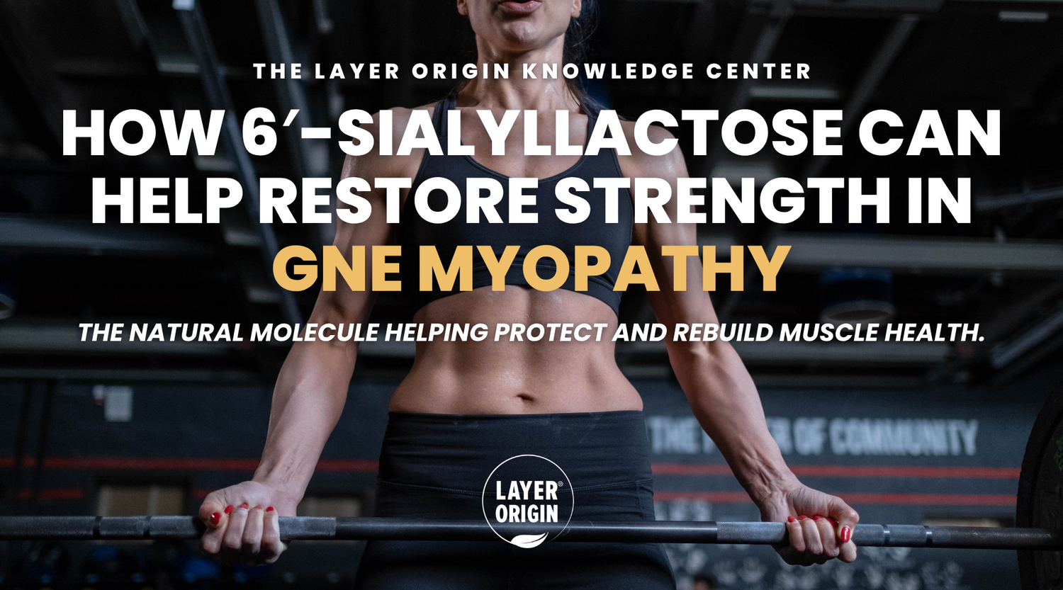 How 6′-Sialyllactose (6′-SL) Could Support Muscle Strength in GNE Myopathy