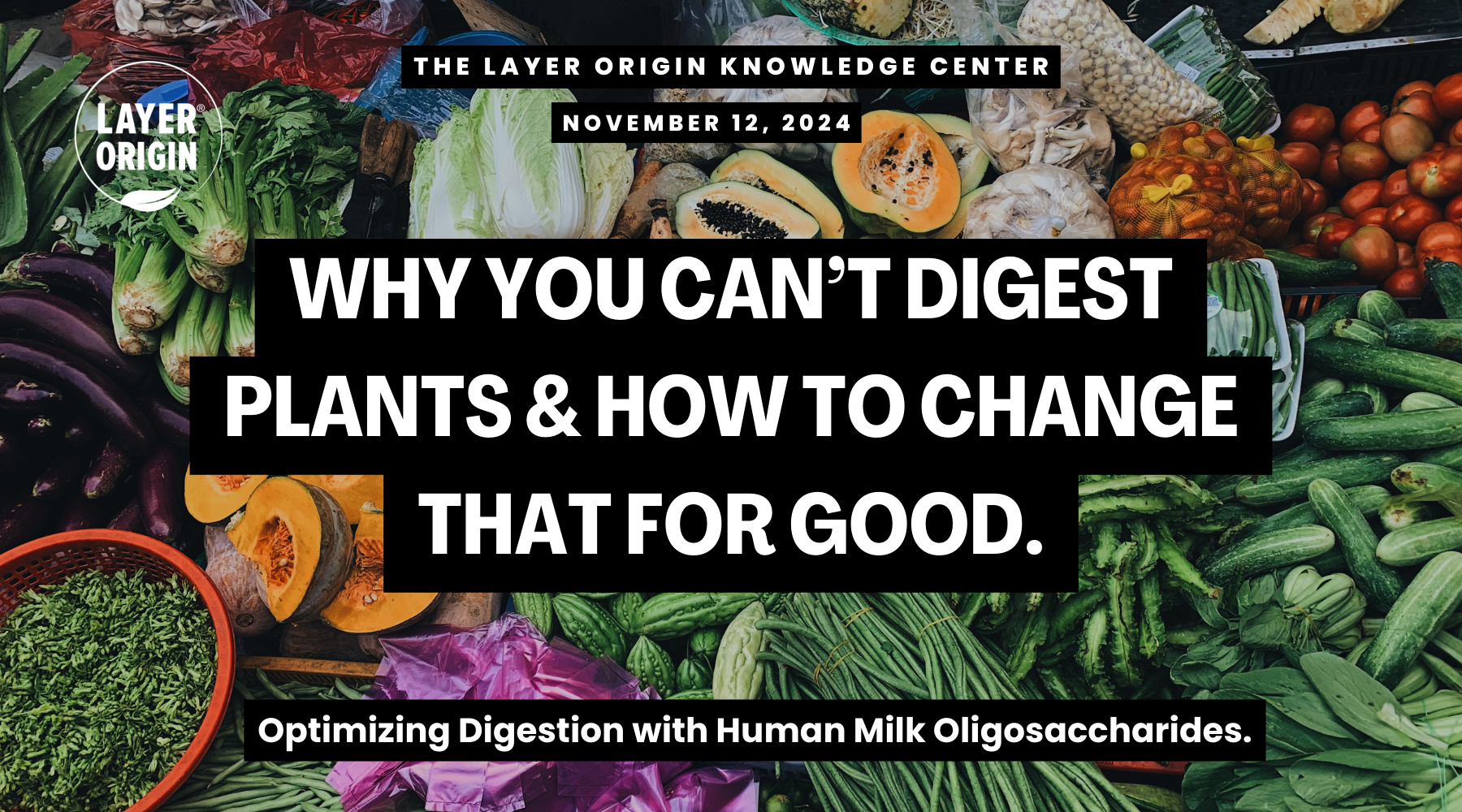 Struggling with Plant Digestion? Discover How to Nourish Your Gut Microbiome for Lasting Digestive Health