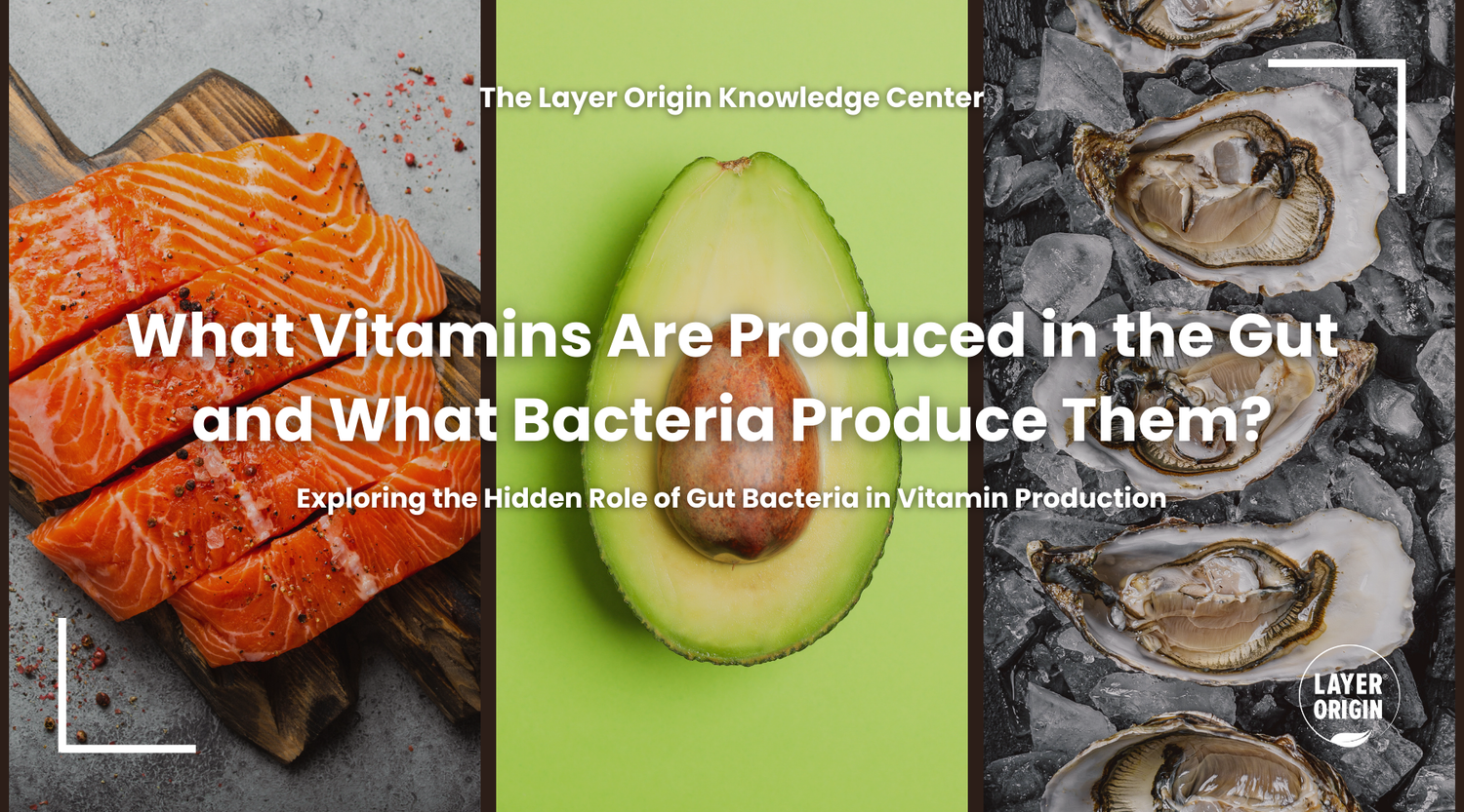 What Vitamins Are Produced in the Gut and What Bacteria Produce Them?