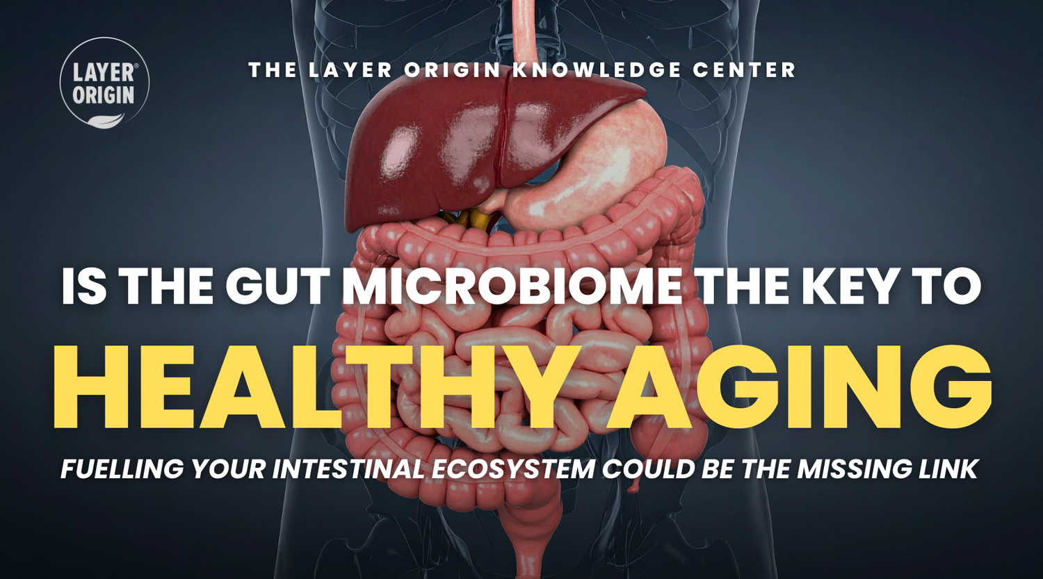 Is The Gut Microbiome the Key to Healthy Aging?