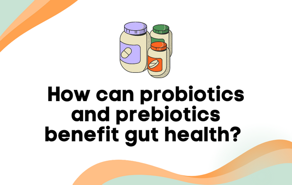 How Can Probiotics And Prebiotics Benefit Gut Health? - Layer Origin ...