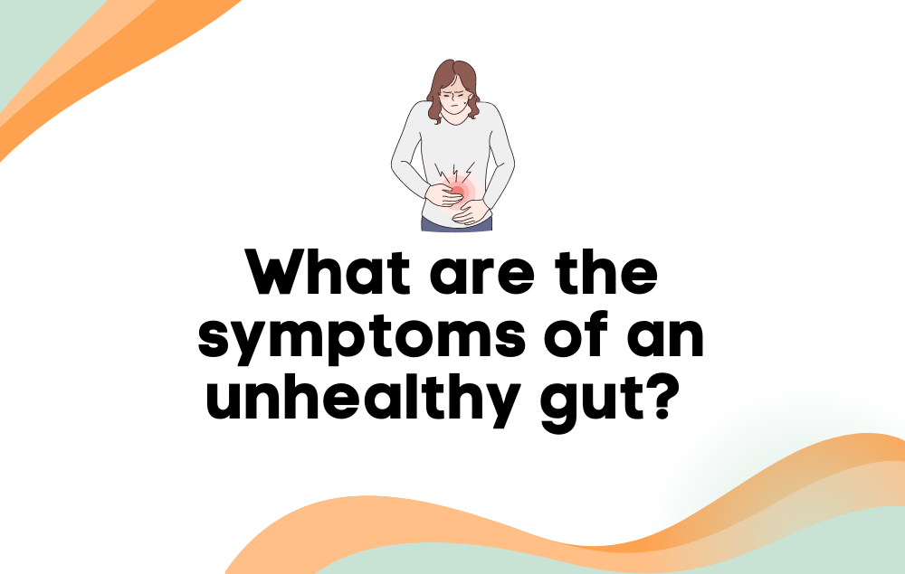 What Are The Symptoms Of An Unhealthy Gut? - Layer Origin Nutrition