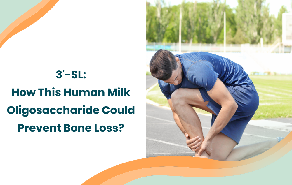3'-Sialyllactose (3'-SL): How This Human Milk Oligosaccharide Could Prevent Bone Loss