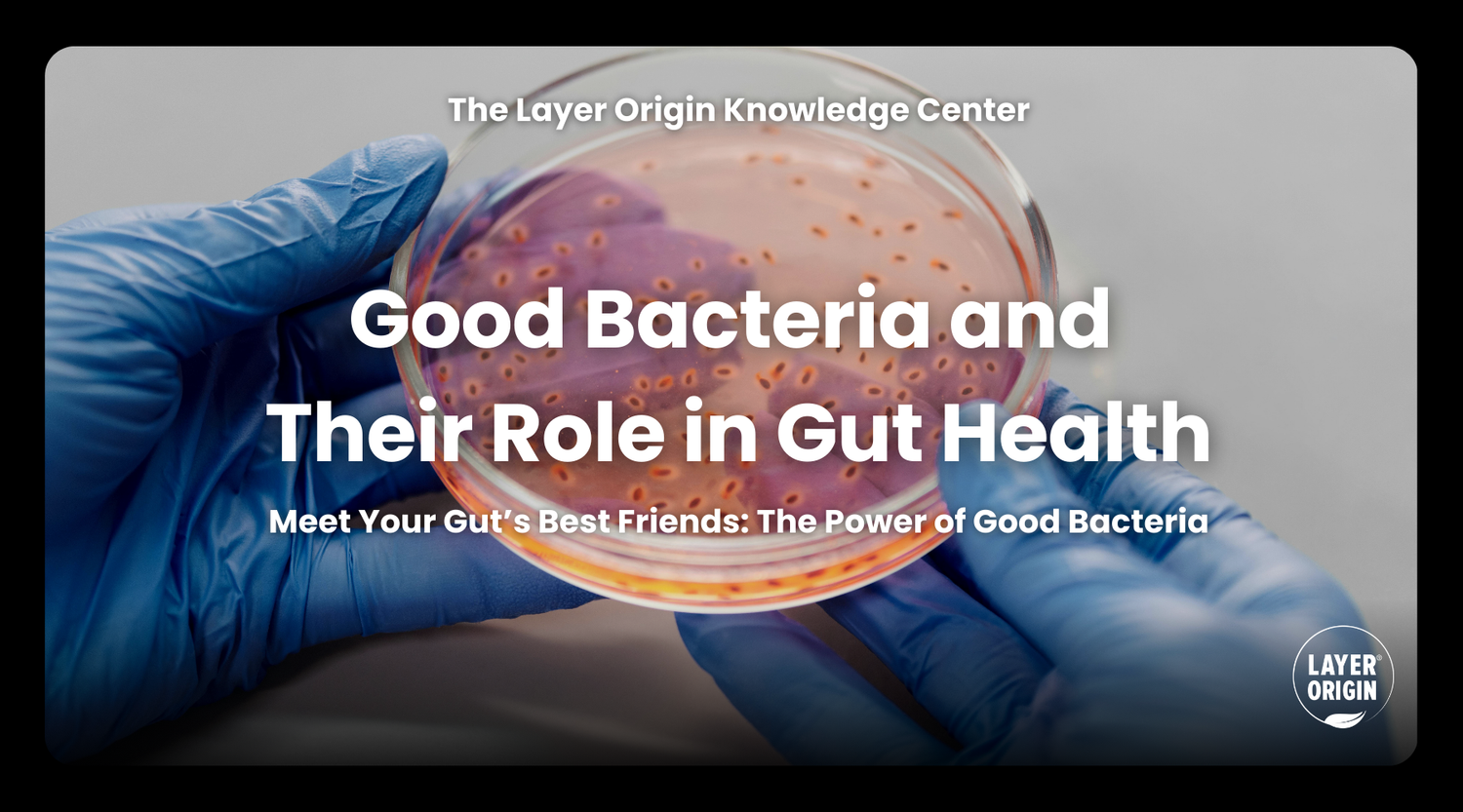 4 Good Bacteria for Your Gut Health – Layer Origin Nutrition