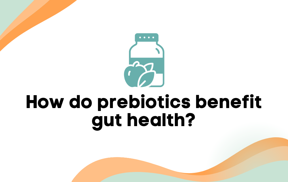 How do prebiotics benefit gut health?