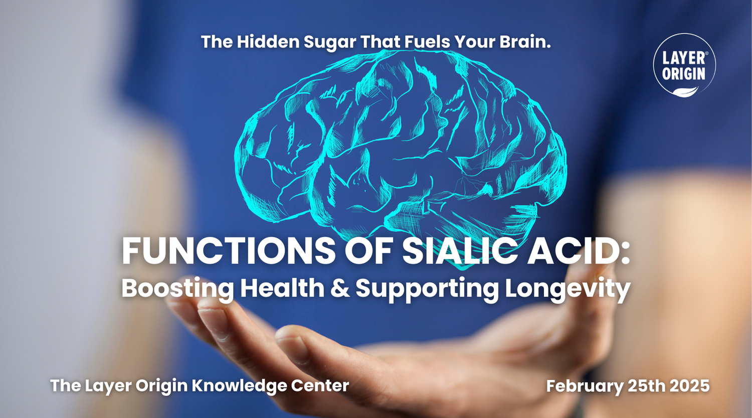 Functions of Sialic Acid: Boosting Health and Supporting Healthy Aging