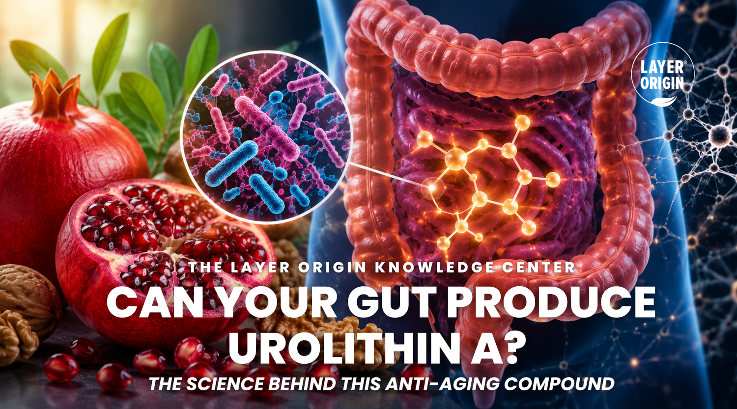 Can Your Gut Produce Urolithin A? The Science Behind This Anti-Aging Compound