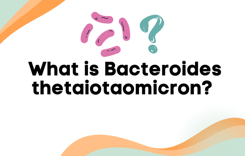 an-rna-centric-view-on-gut-bacteroidetes