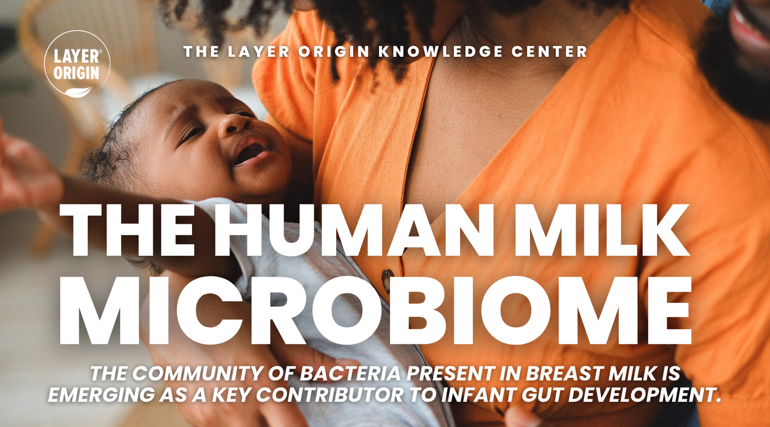 How the Human Milk Microbiome Shapes the Infant Gut - New Study Explained