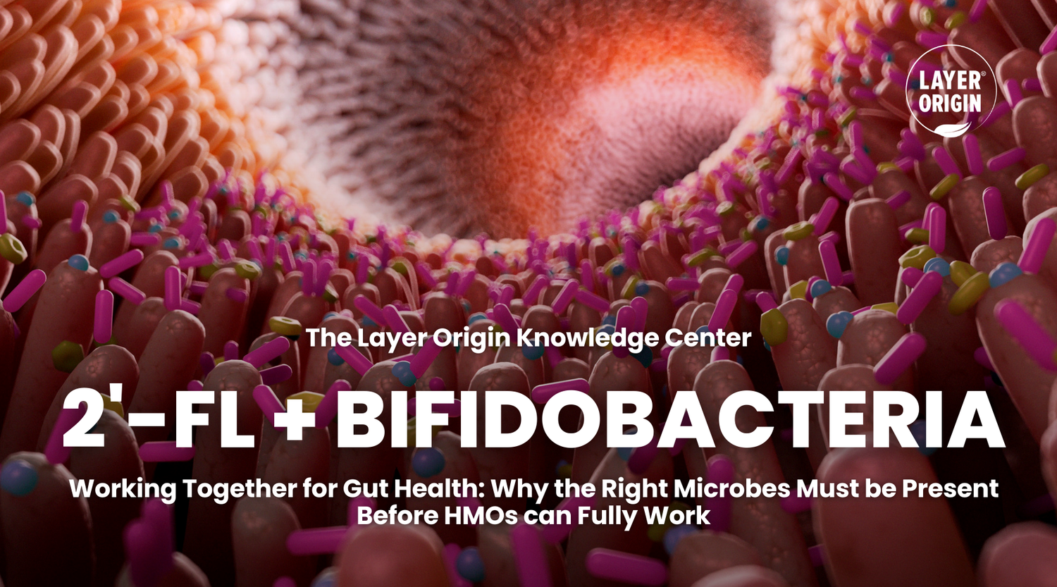 How to Pair 2’-FL and Bifidobacteria Probiotics for Maximum Gut Health Benefits