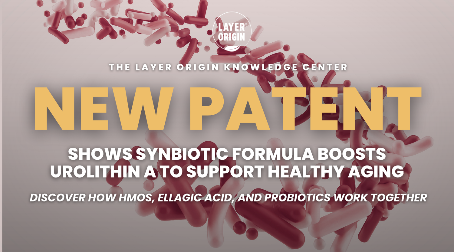 New Patent Shows Synbiotic Formula Boosts Urolithin A, Support Mitochondrial Functions and Healthy Aging
