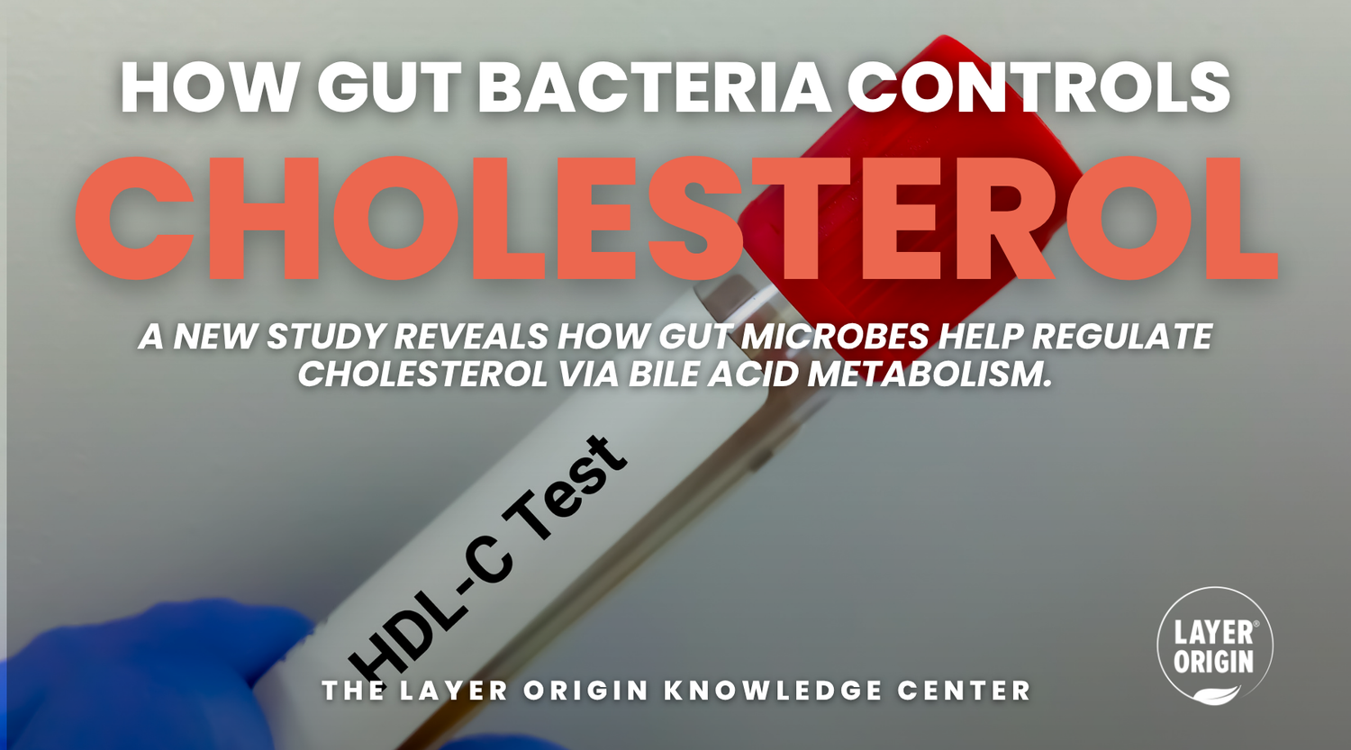 Scientists Find How Gut Bacteria Control Cholesterol
