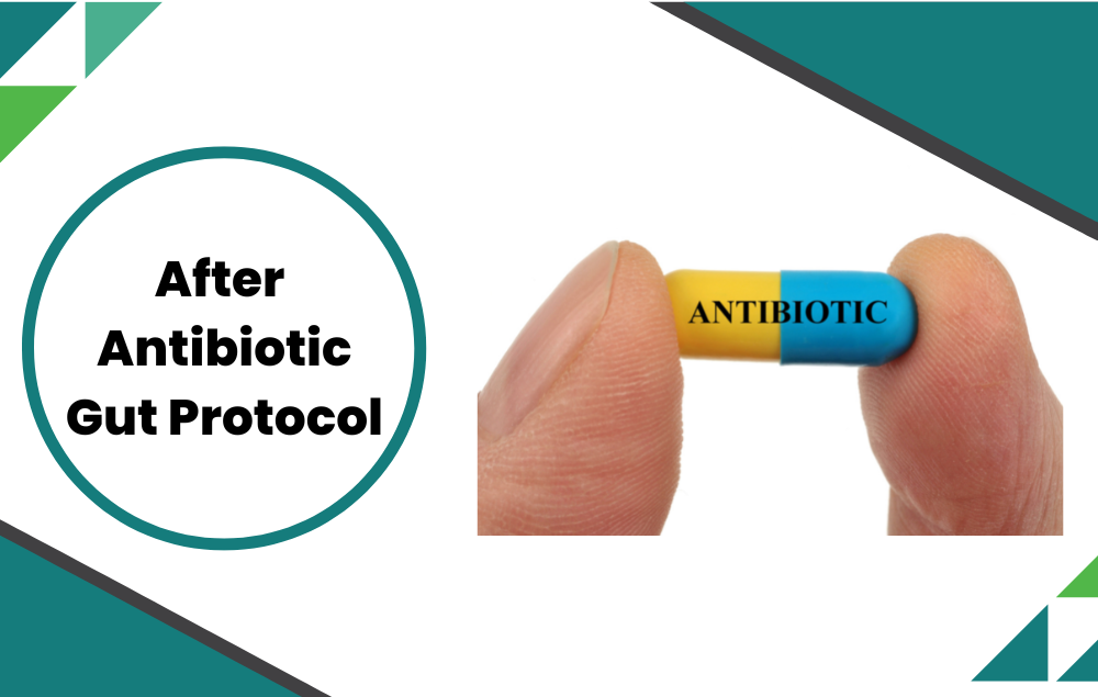 After antibiotic Gut Protocol
