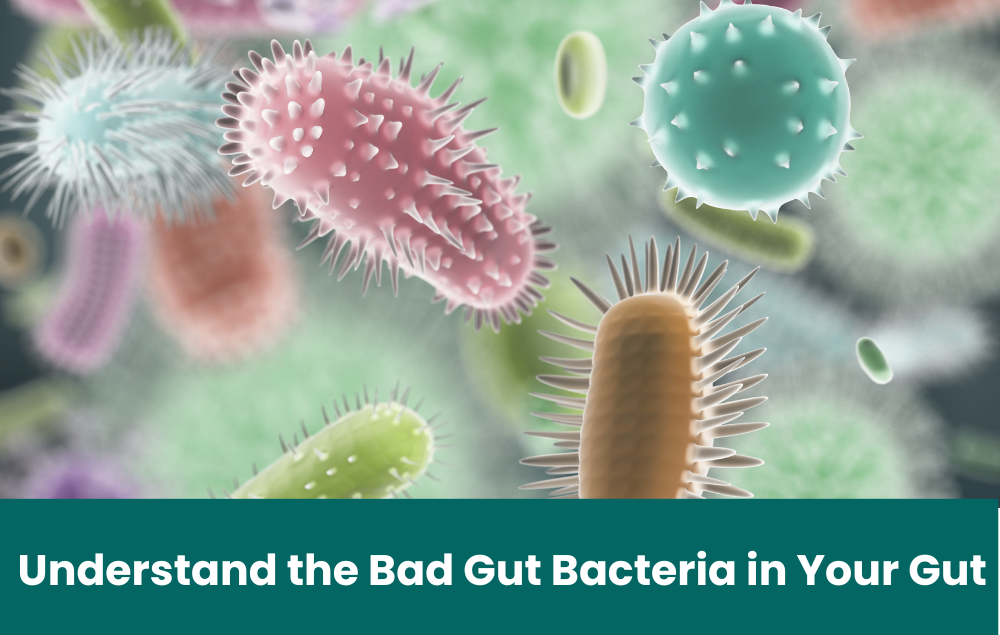 Striking the Balance: Understanding Bad Gut Bacteria and How They Impact Your Health