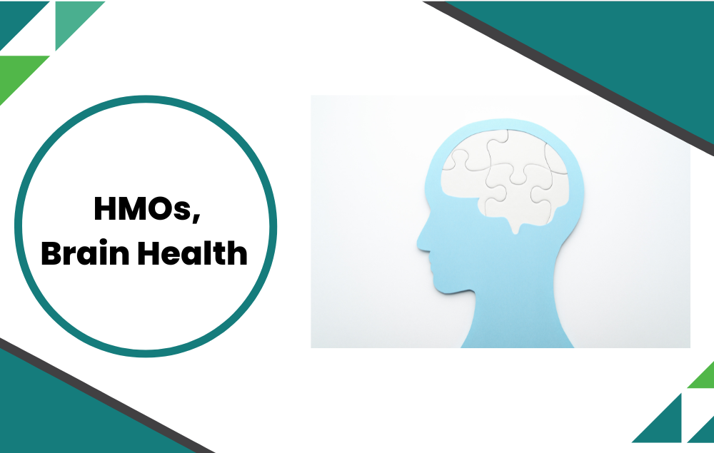 How Do Human Milk Oligosaccharides (HMOs) Promote Brain Health? A Look at How 2'-FL, 3'-SL, and 6'-SL Impact Cognition