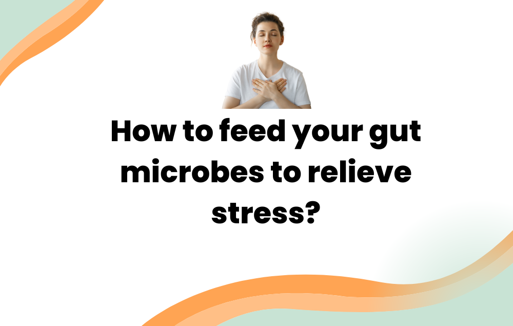 How to feed your gut microbes to relieve stress? Cover image