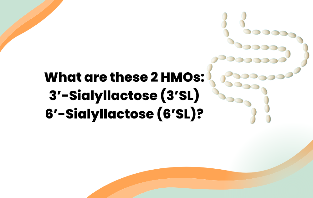 What are the 2 human milk oligosaccharides: 3’-Sialyllactose (3’SL) and 6’-Sialyllactose (6’SL)?