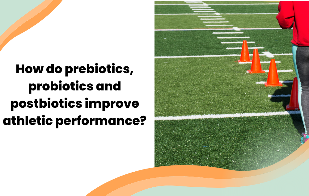 Cover Image - How do prebiotics, probiotics and postbiotics improve athletic performance?  - Layer Origin