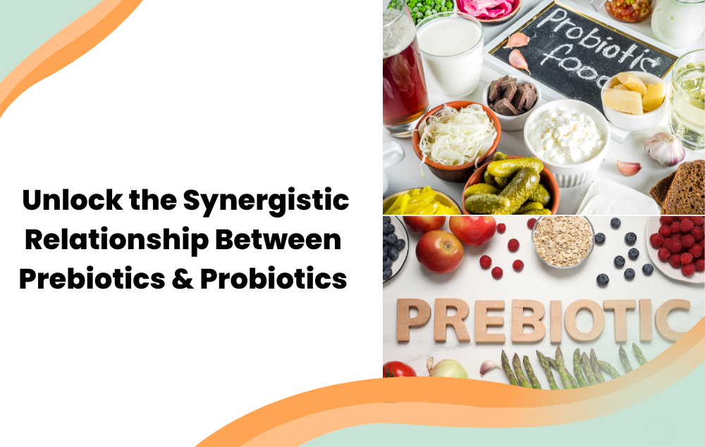 Synbiotics: Unlocking The Synergistic Relationship Between Prebiotics ...