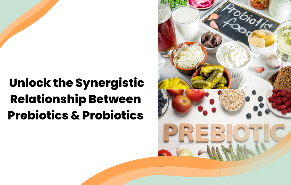 Synbiotics: Unlocking the Synergistic Relationship Between Prebiotics and Probiotics