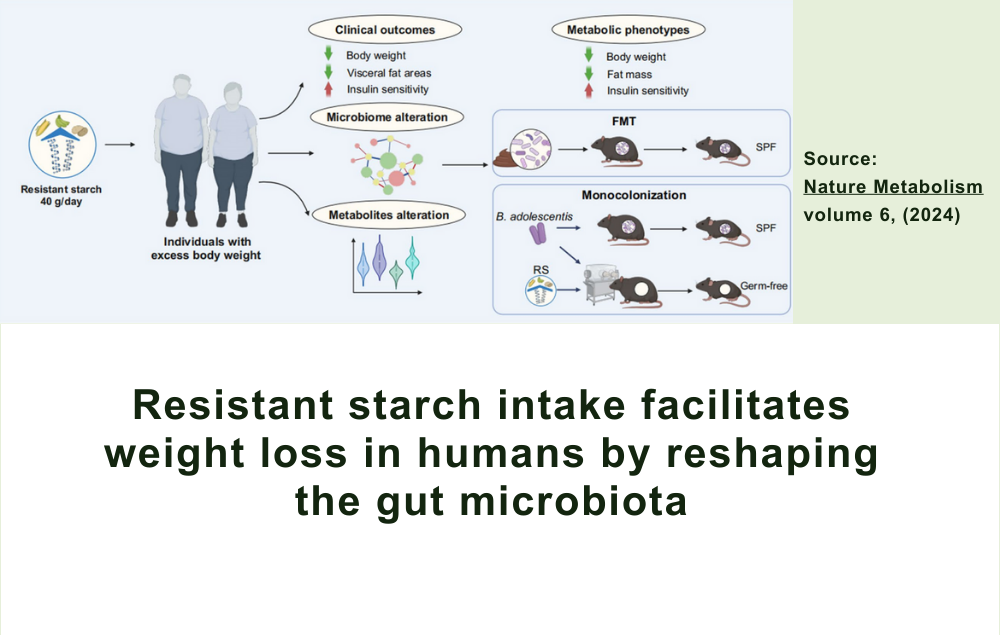 Resistant starch intake facilitates weight loss in humans by reshaping