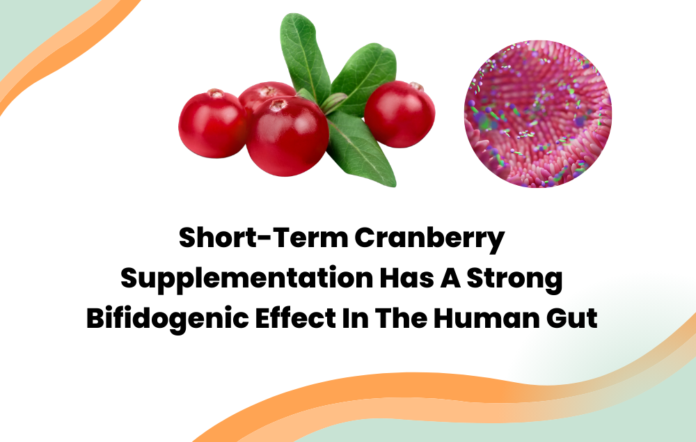 Study Finds Short-Term Cranberry Supplementation Has A Strong Bifidogenic Effect In The Human Gut - Blog Layer Origin