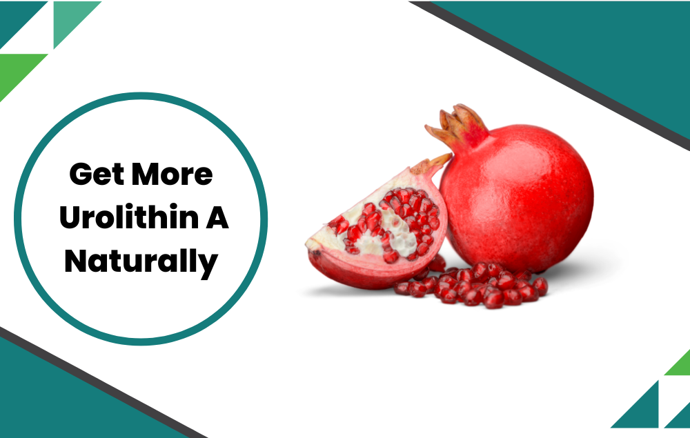 How can you get more urolithin A (UA) naturally? 