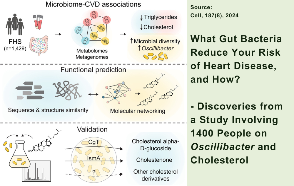 What Gut Bacteria Reduce Your Risk of Heart Disease, and How? Discover ...